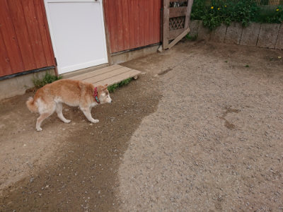 f:id:roukenhome-ann:20190421211106j:plain