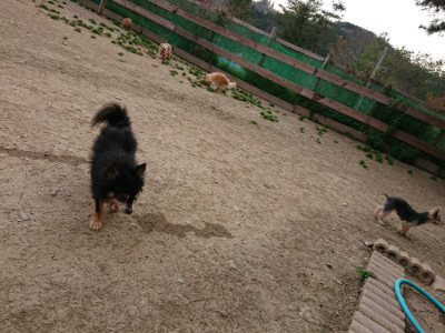 f:id:roukenhome-ann:20190421211133j:plain