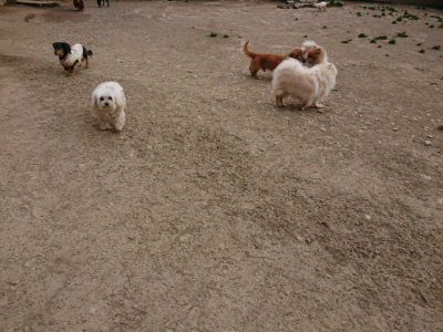 f:id:roukenhome-ann:20190421211140j:plain