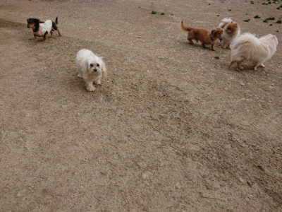 f:id:roukenhome-ann:20190421211158j:plain