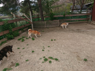 f:id:roukenhome-ann:20190421211438j:plain
