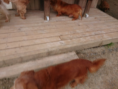 f:id:roukenhome-ann:20190421211459j:plain