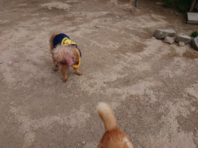 f:id:roukenhome-ann:20190421211508j:plain