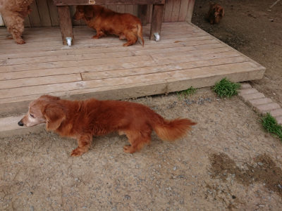 f:id:roukenhome-ann:20190421211546j:plain