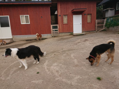f:id:roukenhome-ann:20190421211600j:plain