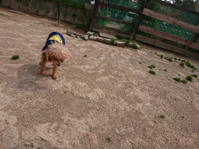 f:id:roukenhome-ann:20190421211817j:plain