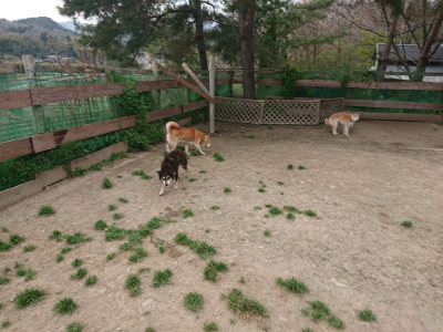 f:id:roukenhome-ann:20190421211837j:plain