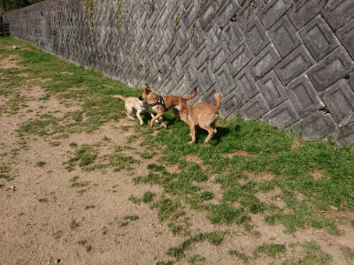 f:id:roukenhome-ann:20190423072835j:plain