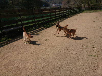 f:id:roukenhome-ann:20190423072840j:plain