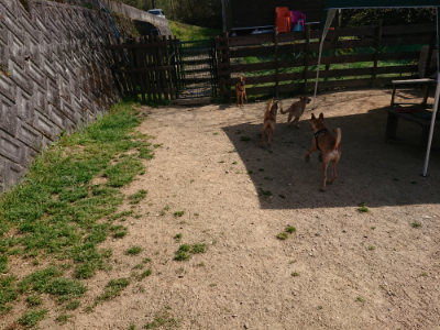 f:id:roukenhome-ann:20190423072903j:plain