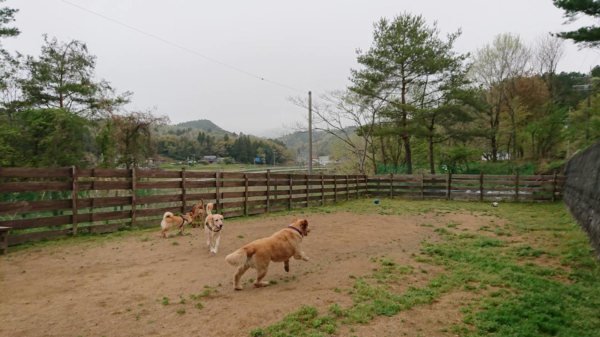 f:id:roukenhome-ann:20190427053029j:plain