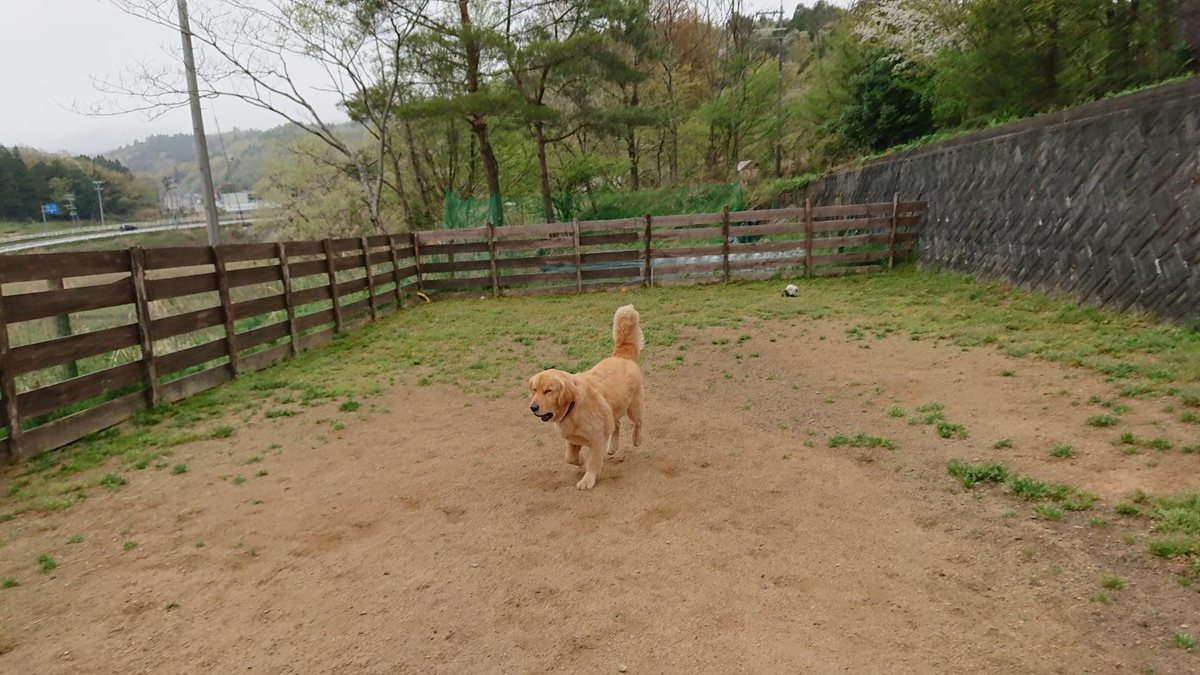 f:id:roukenhome-ann:20190427053035j:plain