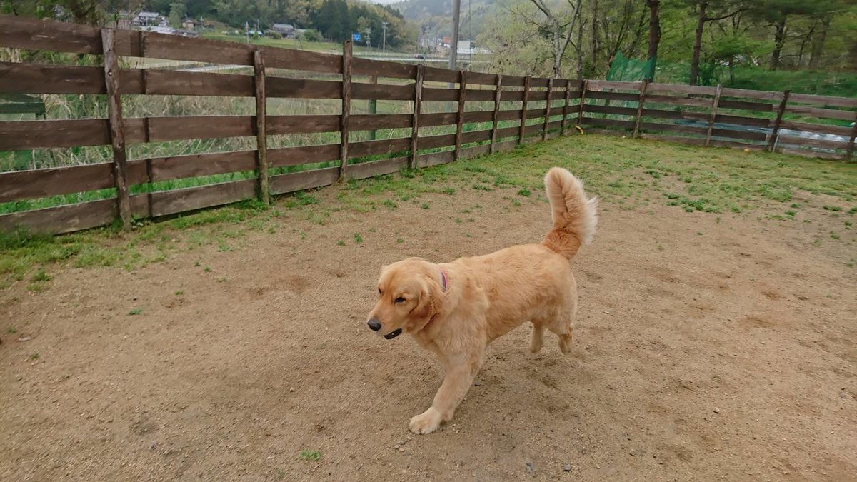 f:id:roukenhome-ann:20190427053041j:plain