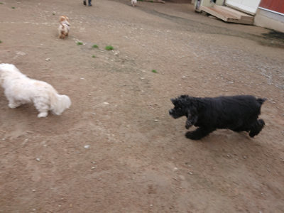f:id:roukenhome-ann:20190427053201j:plain