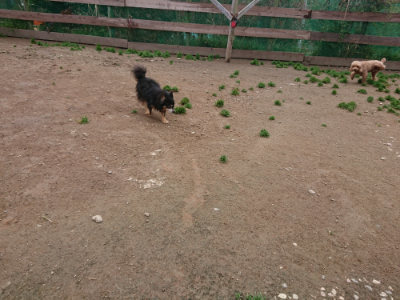 f:id:roukenhome-ann:20190427053207j:plain