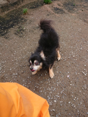 f:id:roukenhome-ann:20190427053323j:plain