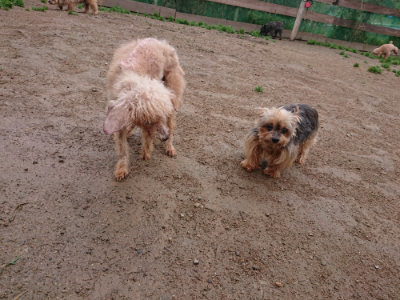 f:id:roukenhome-ann:20190427053336j:plain