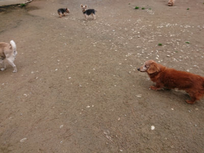 f:id:roukenhome-ann:20190427053349j:plain