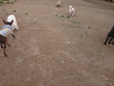 f:id:roukenhome-ann:20190427053433j:plain