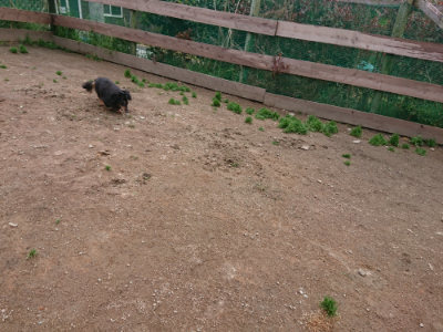 f:id:roukenhome-ann:20190427053437j:plain