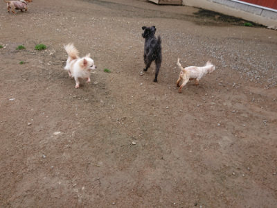 f:id:roukenhome-ann:20190427053513j:plain