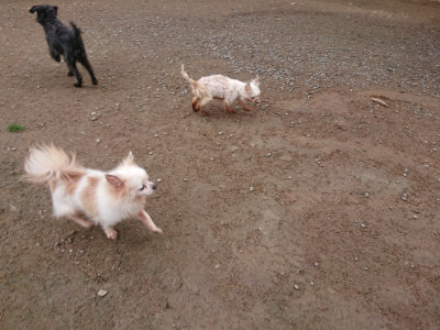 f:id:roukenhome-ann:20190427053518j:plain