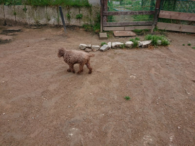 f:id:roukenhome-ann:20190427053522j:plain