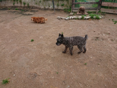 f:id:roukenhome-ann:20190427053526j:plain