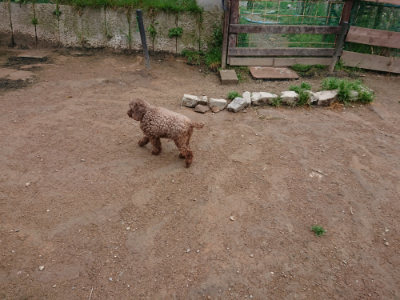 f:id:roukenhome-ann:20190427053545j:plain