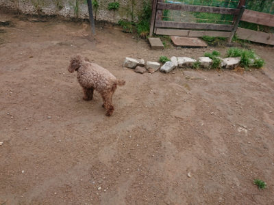 f:id:roukenhome-ann:20190427053550j:plain
