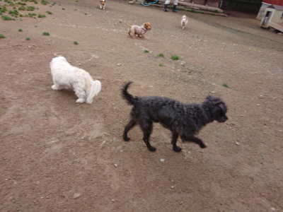 f:id:roukenhome-ann:20190427053634j:plain