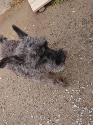 f:id:roukenhome-ann:20190427053739j:plain