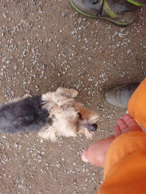 f:id:roukenhome-ann:20190427053752j:plain