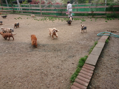 f:id:roukenhome-ann:20190427053818j:plain