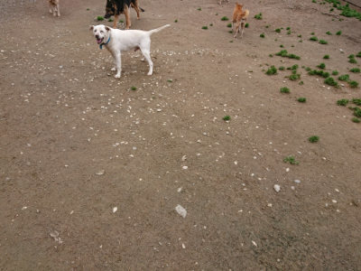 f:id:roukenhome-ann:20190427053830j:plain