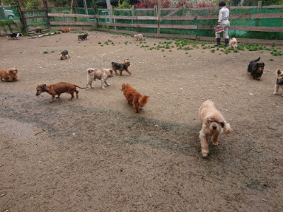 f:id:roukenhome-ann:20190427053840j:plain