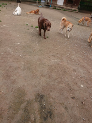 f:id:roukenhome-ann:20190427080937j:plain