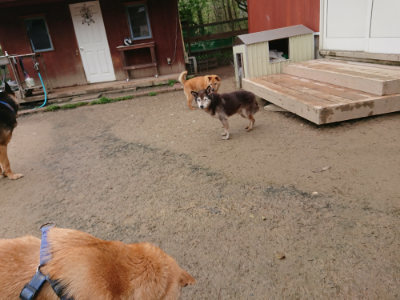 f:id:roukenhome-ann:20190427081317j:plain