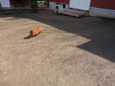 f:id:roukenhome-ann:20190427202528j:plain