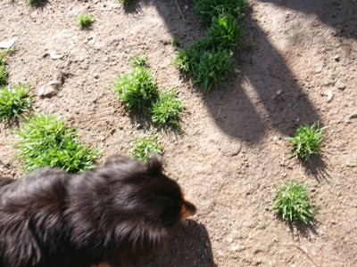 f:id:roukenhome-ann:20190427202555j:plain