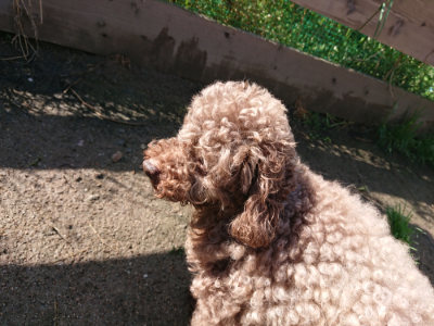 f:id:roukenhome-ann:20190427202630j:plain