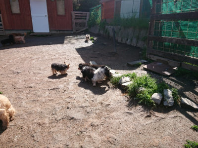 f:id:roukenhome-ann:20190427202635j:plain