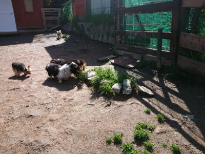 f:id:roukenhome-ann:20190427202705j:plain