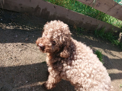 f:id:roukenhome-ann:20190427202913j:plain