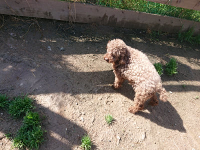 f:id:roukenhome-ann:20190427202945j:plain