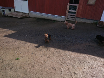 f:id:roukenhome-ann:20190427202955j:plain
