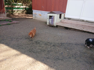 f:id:roukenhome-ann:20190427203039j:plain