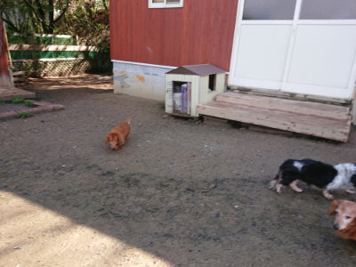 f:id:roukenhome-ann:20190427203157j:plain
