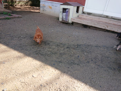 f:id:roukenhome-ann:20190427203227j:plain