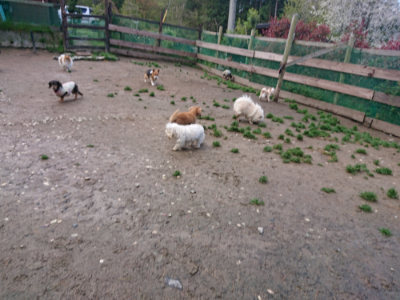 f:id:roukenhome-ann:20190427203247j:plain